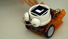 (Click to see more detail about Phybots.)